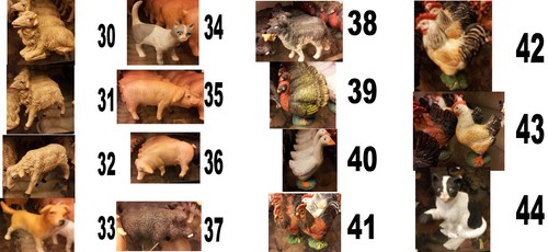 Pecore per pastori - pecore,