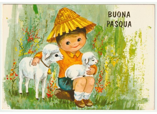 1975 bambino pecora agnello