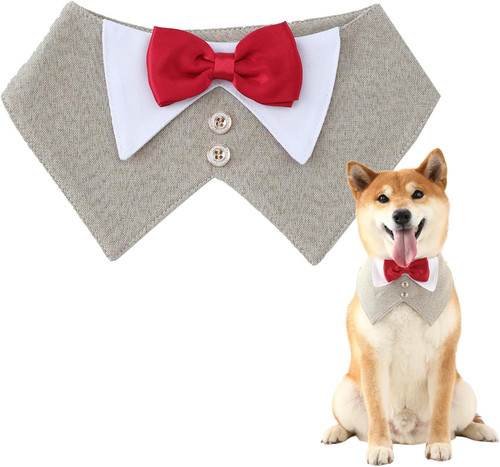 Papillon regolabile foulard - e,
