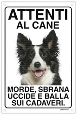 BORDER COLLIE Attenti al cane