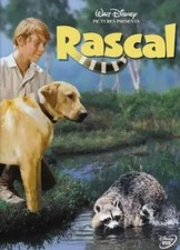 Rascal l'orsetto lavatore dvd