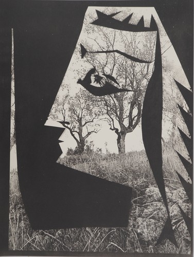 Pablo picasso diurnes - picasso, :