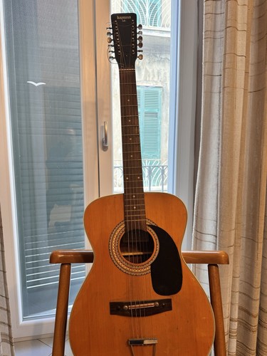 Chitarra acustica corde - acustica, 12