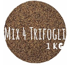 Semi Api TRIFOGLIO Trifogli Ginestrino Bianco Alessandrino Violetto fiori seme