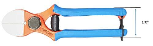 Due buoi 133 forbice - buoi, 133/20