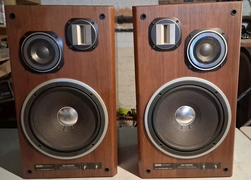 Very rare vintage pioneer - very,