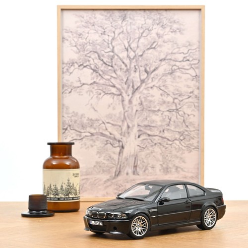Bmw serie e46 csl - serie, m3