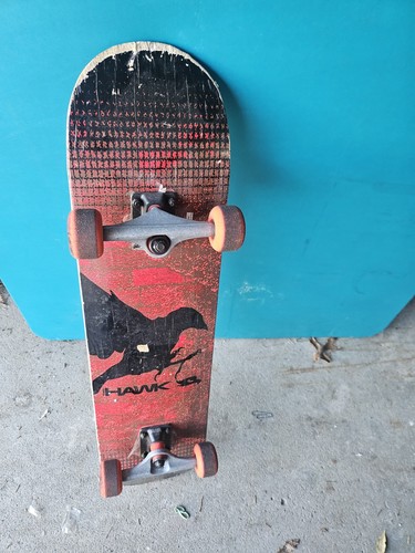 Skateboard