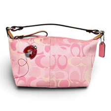 Rara borsa baguette Coach