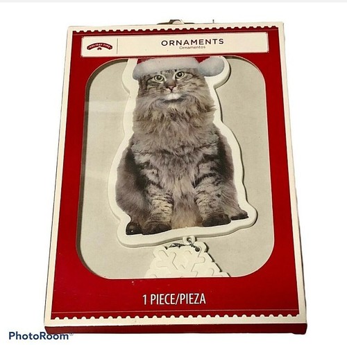 Holiday time gatto foresta - time,