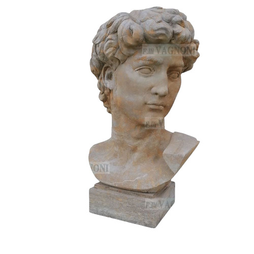 Busto david michelangelo in - david,