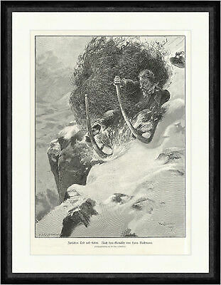 Tra morte vita - hans, bachmann
