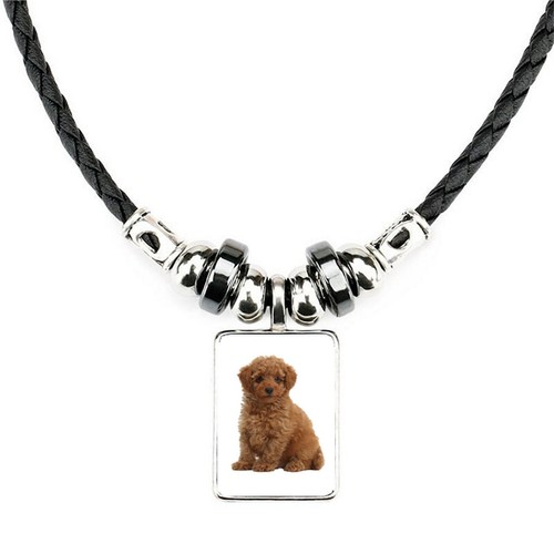 Toy poodle dog pet - toy,