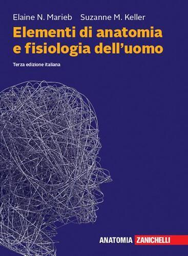 Elementi anatomia e - di,
