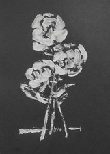 Disegni artistici dipinti - disegni,