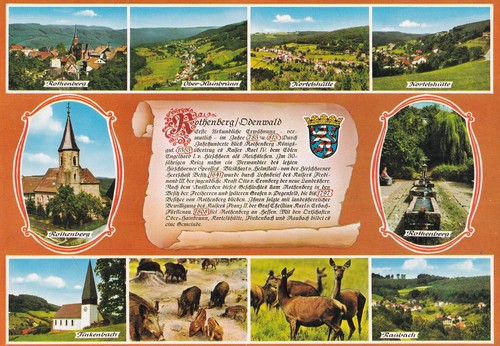 Cartolina rothenberg - cartolina,