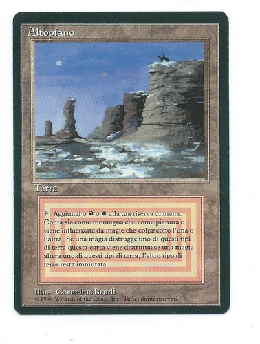 Magic mtg plateau fbb foreign - mtg,
