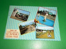 Cartolina Cecina Mare - Saluti dal Camping Bungalow "Le Tamerici" 1990