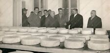 1955c GODIA forme formaggio stagionatura Udine Fotografia