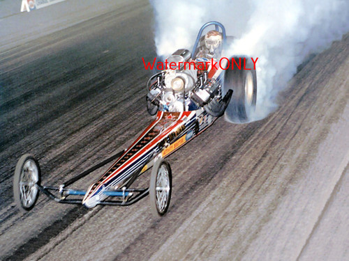 Tom mongoose mcewen 69 - "mongoose",