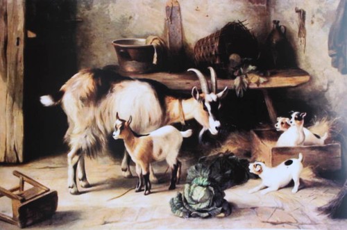 Edgar hunt goats - goats, and