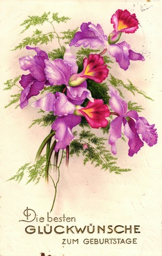 Compleanno fiori 1931 - compleanno,, fiori,