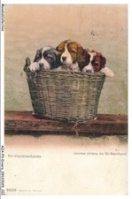 AZAP3-0192-SVIZZERA -