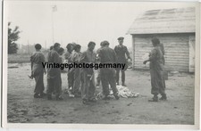 Z3644 foto donna in uniforme