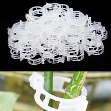 100Pezzi Giardino Piante Clip