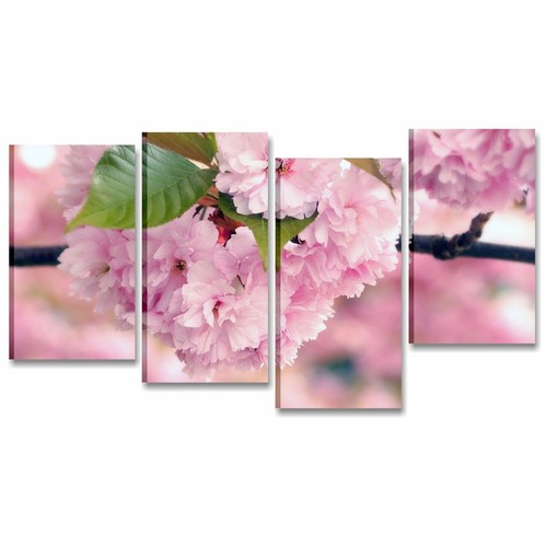 Fiori rosa quadri - fiori, moderni