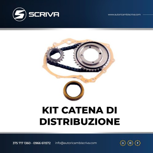 Kit catena distribuzione fiat - catena,