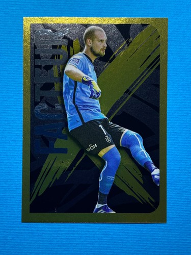 Figurine panini sticker - figurine,