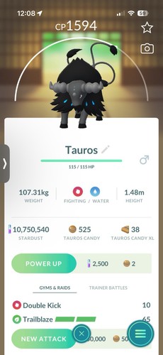 Paldean tauros aqua pokemon - paldean,