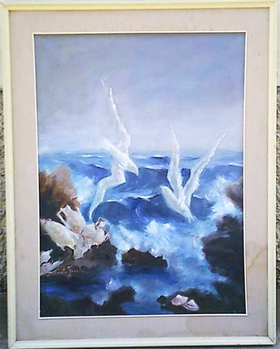 Mareggiata con volo - mareggiata, di