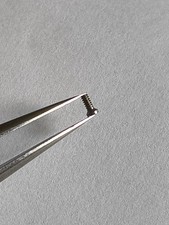 CARTIER -SANTOS -  VIS DE FOND