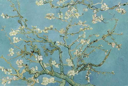 Poster vincent van - vincent, fiore