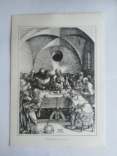 Riproduzione albrecht durer - -,