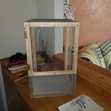 Teca terrario insetti stecco