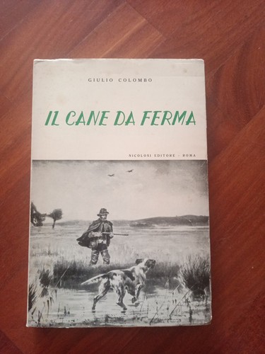 Caccia cani addestramento - caccia,