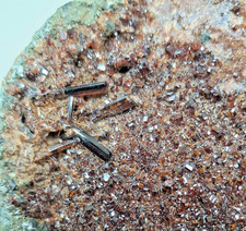 Granato e Vesuvianite su matrice – Valle della Gava, Liguria, Italia (raro)