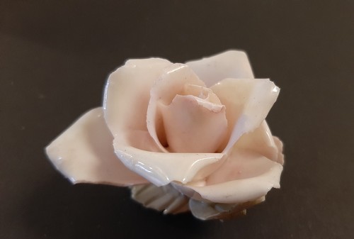 Rosa con bocciolo - rosa,