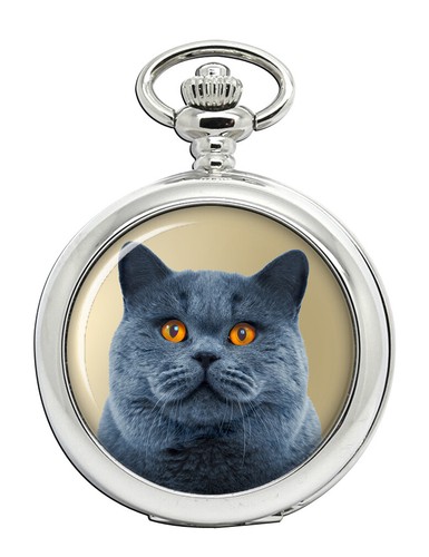 Orologio tasca gatto - orologio,