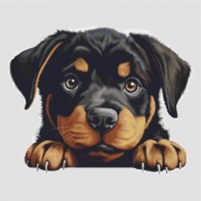 Cane cucciolo Rottweiler