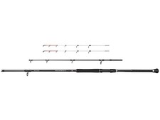 NEUF 2025 Penn Squadron IV