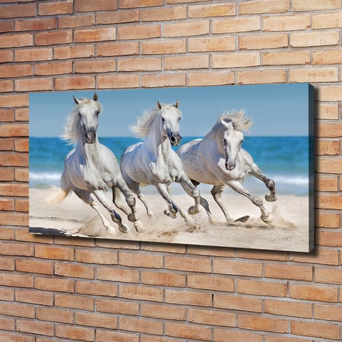 Quadro tela stampa - quadro,
