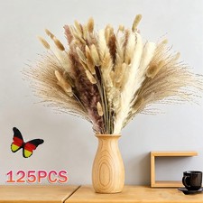 125 x erba pampa fascio fiori