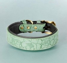 collare cane morbido con