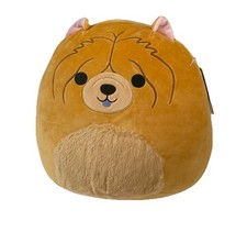 Squishmallows Sandro The Chow