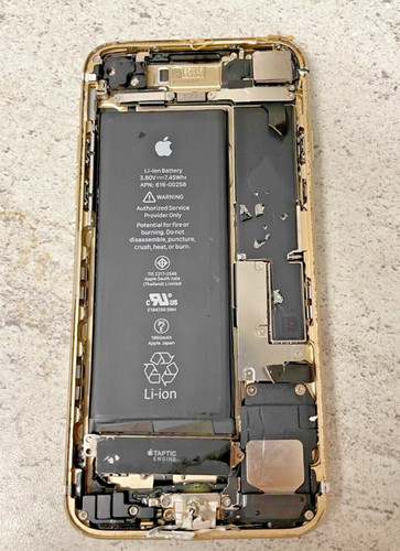 Custodia posteriore apple - posteriore,