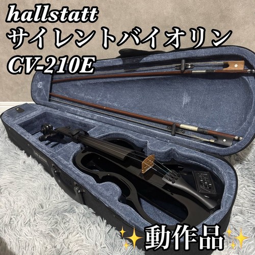 Buone condizioni hallstatt - [buone, condizioni]